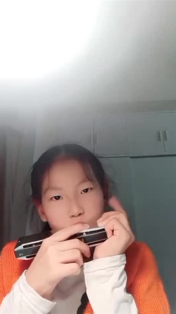 一个八度半音阶（中音组）100