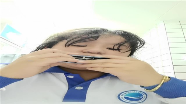 VID_20241224_202807