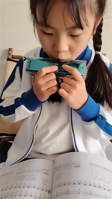 5.玛丽有只小羊羔