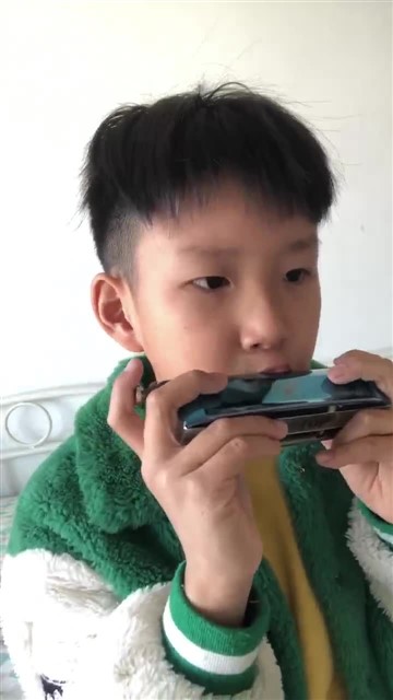 鲤鱼风筝_20250117