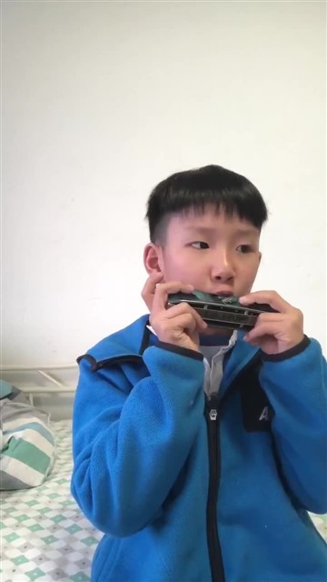 小毛驴_20250115