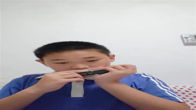 爱尔兰画眉