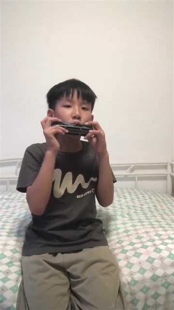 爱尔兰画眉20250430