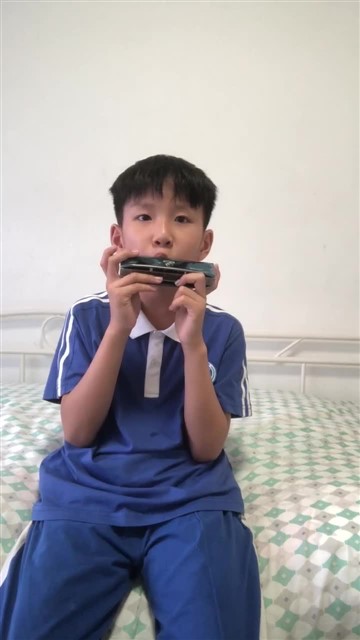 爱尔兰画眉20250428