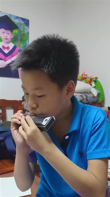 64.爱尔兰画眉