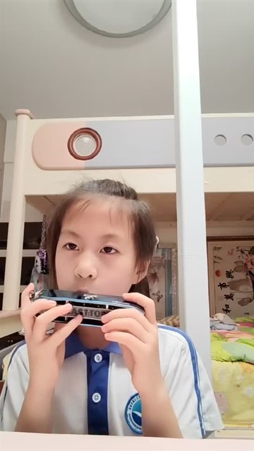 爱尔兰画眉