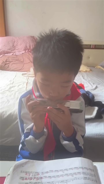 半音阶
