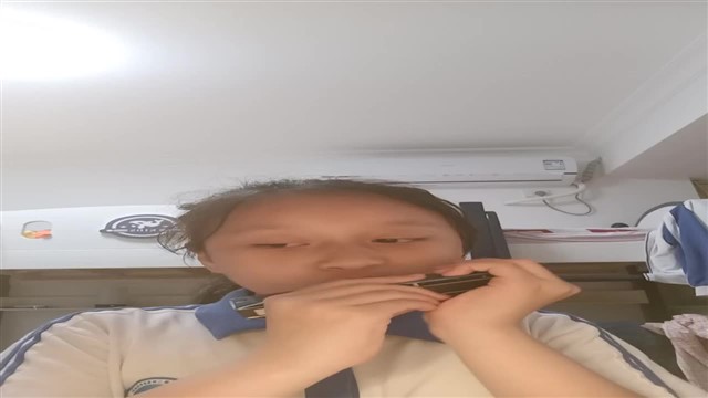 44.半音阶