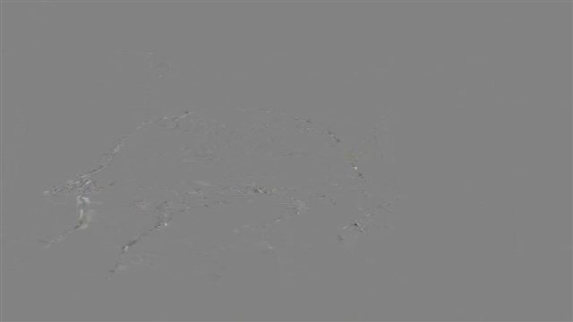 VID_20250428_072846