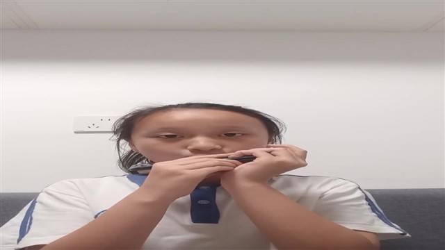 64.爱尔兰画眉