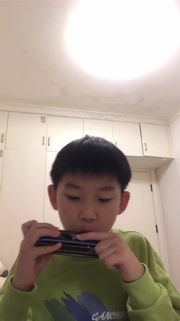 爱尔兰画眉