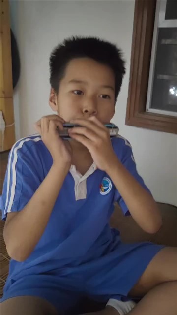 64.爱尔兰画眉