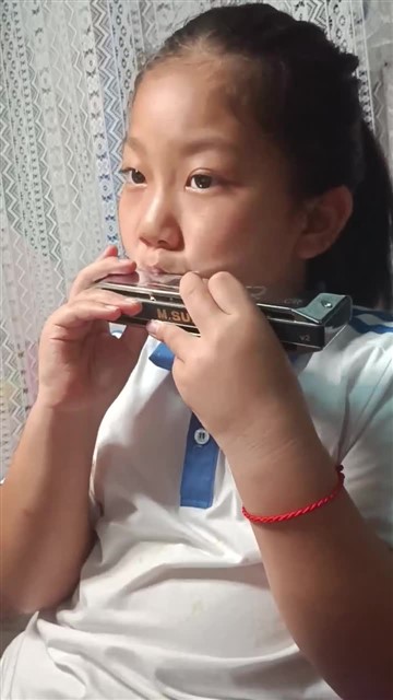 半音阶八个度