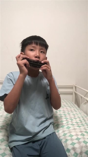 64.爱尔兰画眉