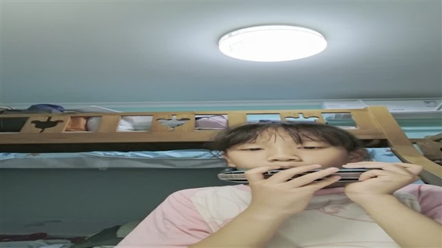 64.爱尔兰画眉