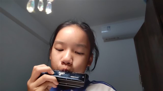 c大调级进