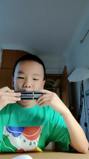 爱尔兰画眉