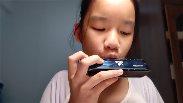 四季的更替