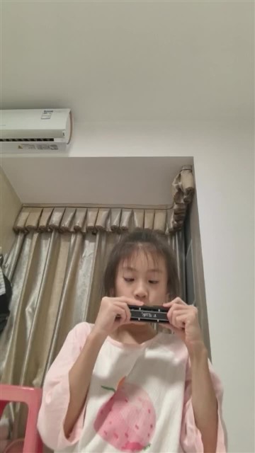 玛丽有只小羊羔