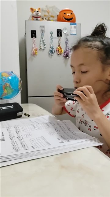 雁群飞