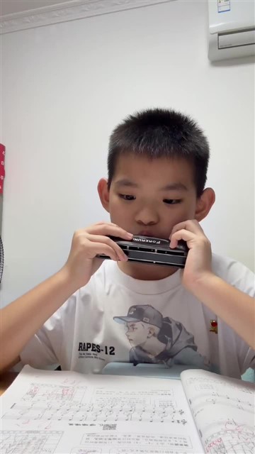 5.玛丽有只小羊羔