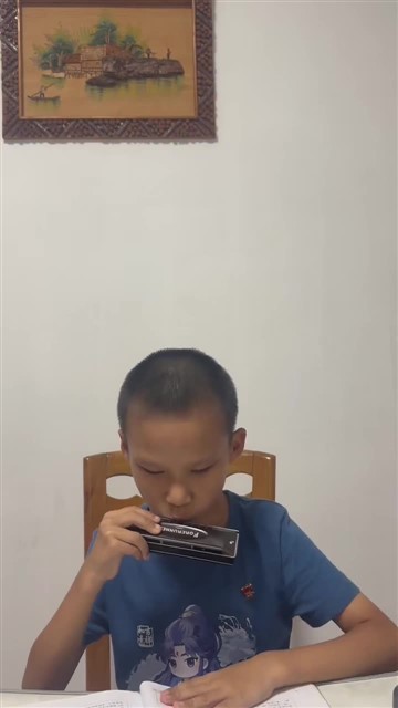 鲤鱼风筝