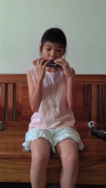 5.玛丽有只小羊羔