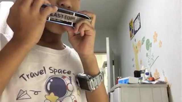 5.玛丽有只小羊羔🐑
