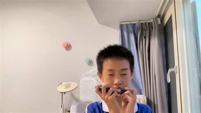 64.爱尔兰画眉