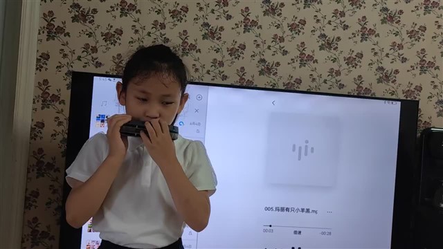 5.玛丽有只小羊羔