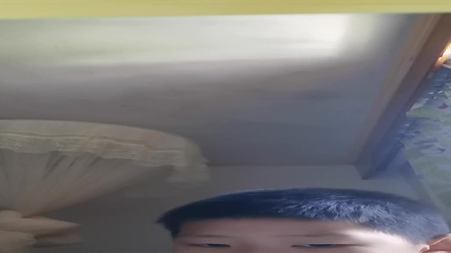 46.雪绒花