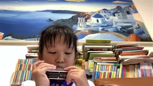 16.小毛驴