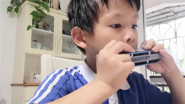 5.玛丽有只小羊羔