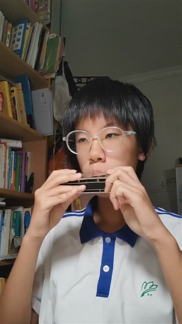 闪烁的小星