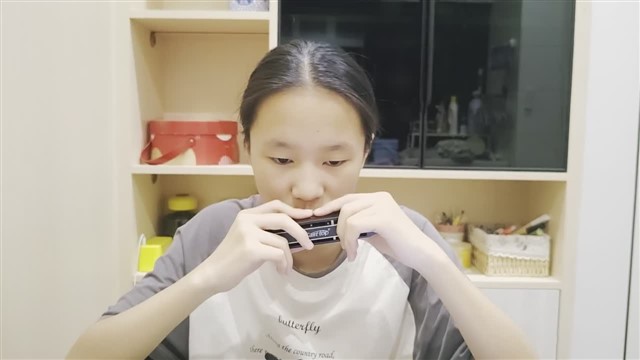 16.小毛驴