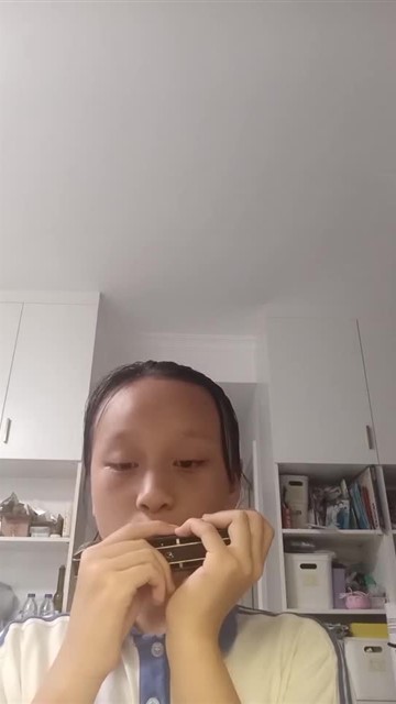 64.爱尔兰画眉
