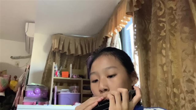 20鲤鱼风筝