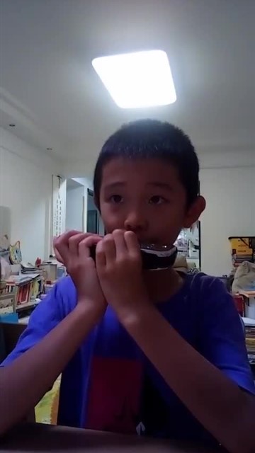 40.雁群飞