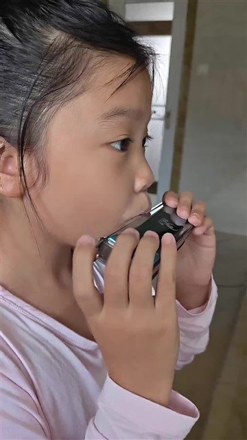 40.雁群飞