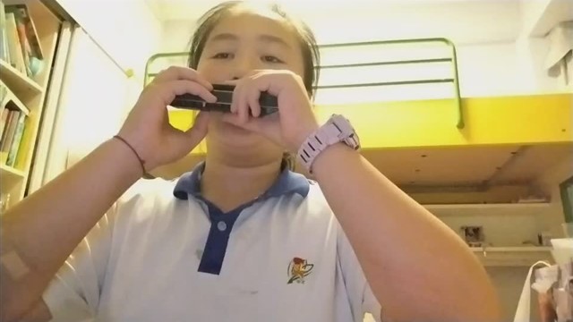 野兔饿了