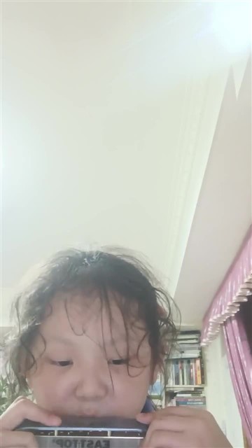 雁群飞