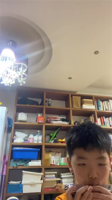 20.鲤鱼风筝