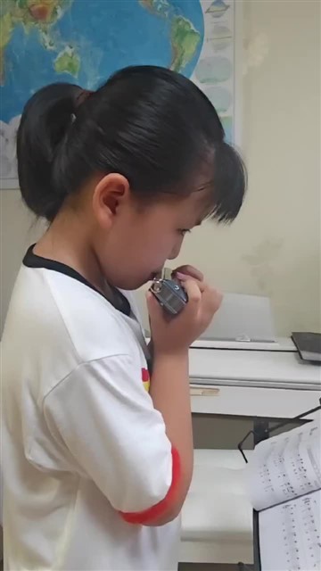 40.雁群飞