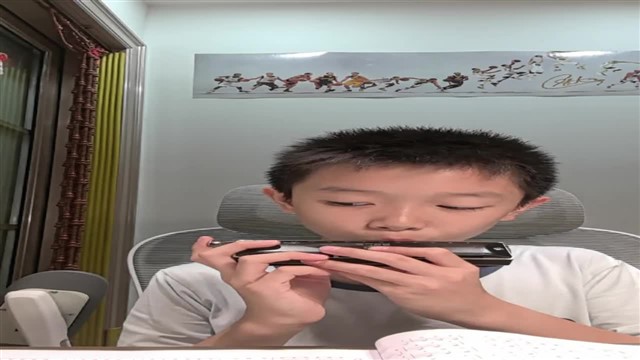 46.雪绒花