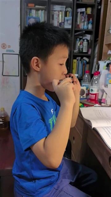 海顿小夜曲