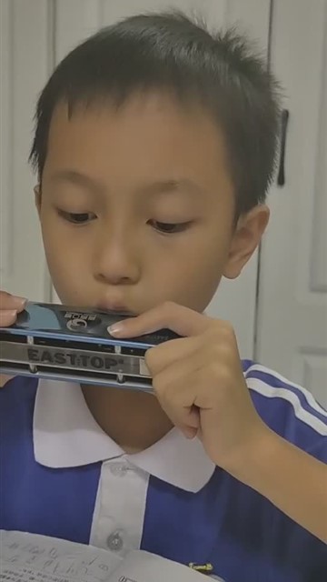 赛船