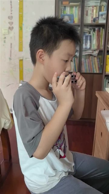 马丽有只小羊羔