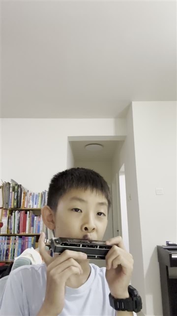 64.爱尔兰画眉