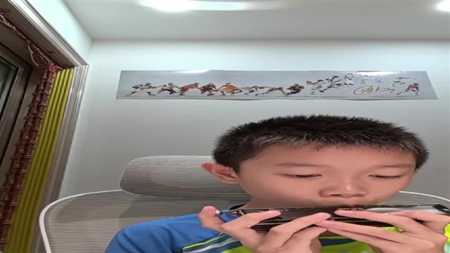20.鲤鱼风筝