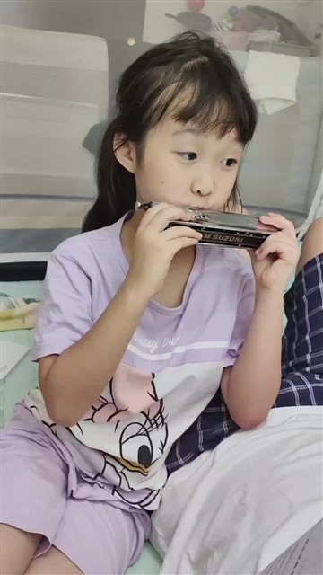 海顿小夜曲
